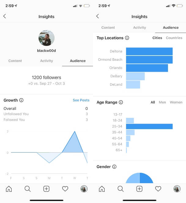 instagram profile statistics